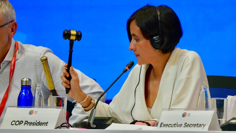 En la COP16 hubo victorias, pero quedó un sabor agridulce