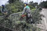 Ola invernal en Bogotá: no cesan las emergencias por las fuertes lluvias