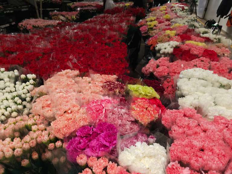 Al final, cada flor que se abre en una floristería del mundo resume ciencia, inversión, logística, manos expertas y compromiso social. No es solo un producto de exportación: es una embajadora que lleva el nombre de Colombia a casi 100 países.