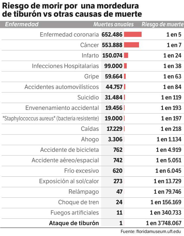 El riesgo de muerte por una mordida de tiburón es de 1 en más de tres millones.