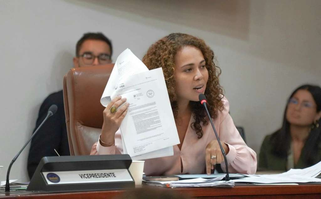 Ministra de Ciencias dio su versión sobre su hoja de vida en el Congreso.