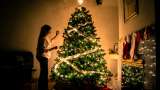Árbol de Navidad: historia y origen de esta tradición