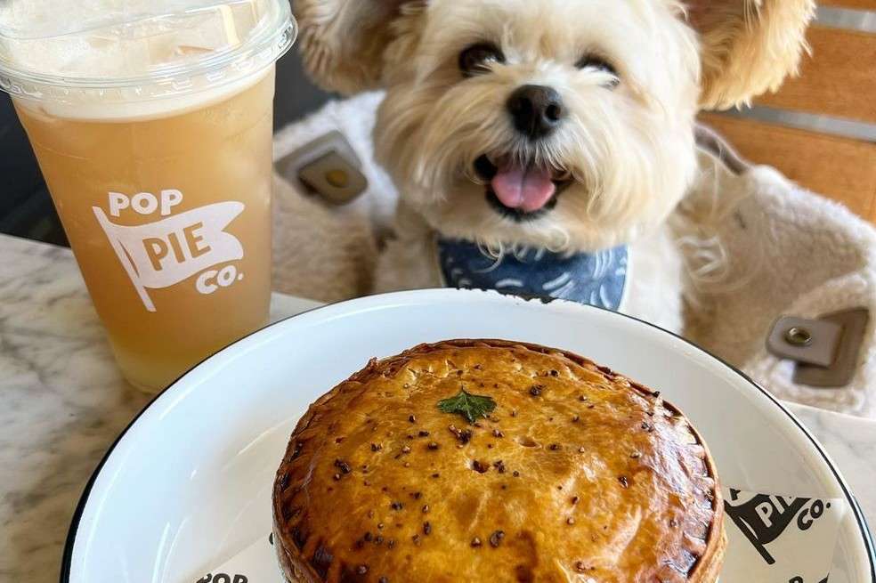 Gracias a el gracioso resultado de sus fotografías ya cuenta con más de 137,000 seguidores y lleva un largo recorrido por los restaurantes más populares de Los Angeles