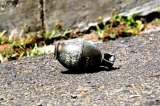 Una persona herida tras explosión en Cartago, Valle