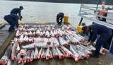 En Colombia, se han incautado 334 toneladas de pesca ilegal en los últimos 10 años