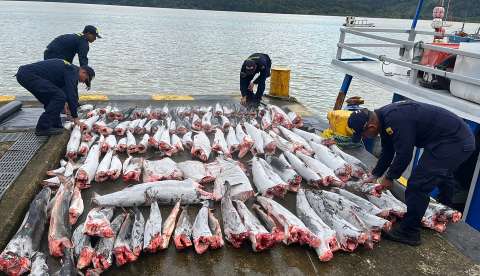 En Colombia, se han incautado 334 toneladas de pesca ilegal en los últimos 10 años