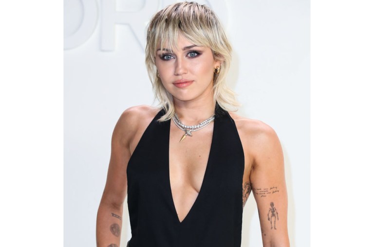 Miley Cyrus: no hay matrimonio ni hijos a la vista