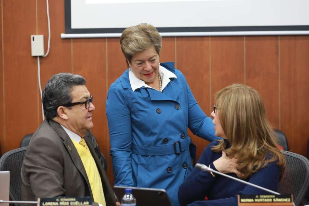 La senadora Norma Hurtado (Partido de la U) es coordinadora ponente de la reforma pensional.