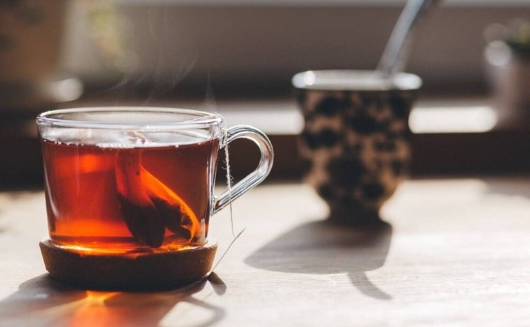 Científicos encuentran que microbios en raíces de plantas de té determinarían su calidad