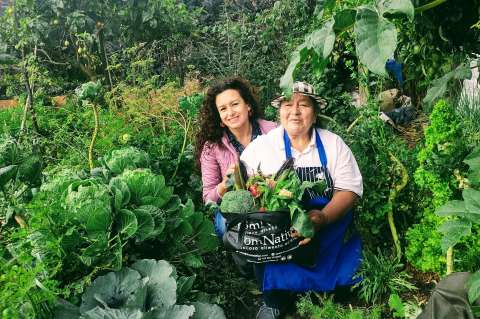 Un ecommerce para campesinos, artesanos y consumidores conscientes