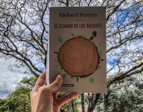La Esquina Delirante LXXXII (Microrrelatos)