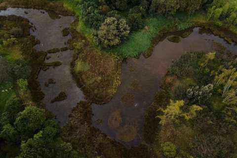La urgencia de una Gobernanza efectiva en temas climáticos y ambientales en el país