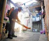 Mosquito del dengue supera la barrera de los 2.300 metros