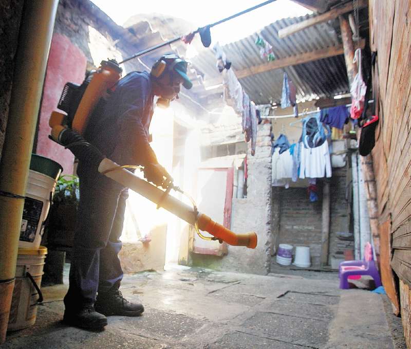 El insecto fue encontrado en el municipio de Bello, Antioquia. Aún no hay casos de transmisión. /