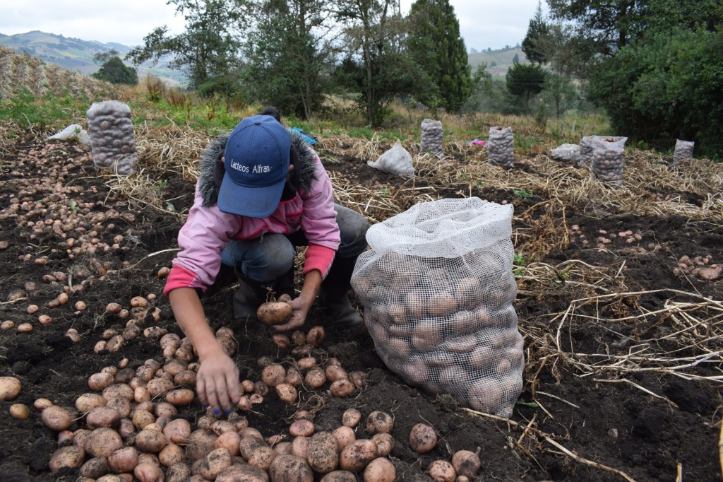 Lo que debe tener en cuenta para la alimentación en época de festividades