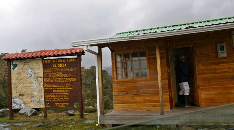 En el Parque Nacional Natural el Cocuy se pueden observar aves como cóndor de los Andes, águila, gallito de roca, paujil copete de piedra, periquito aliamarillo y el cucarachero de Apolinar.