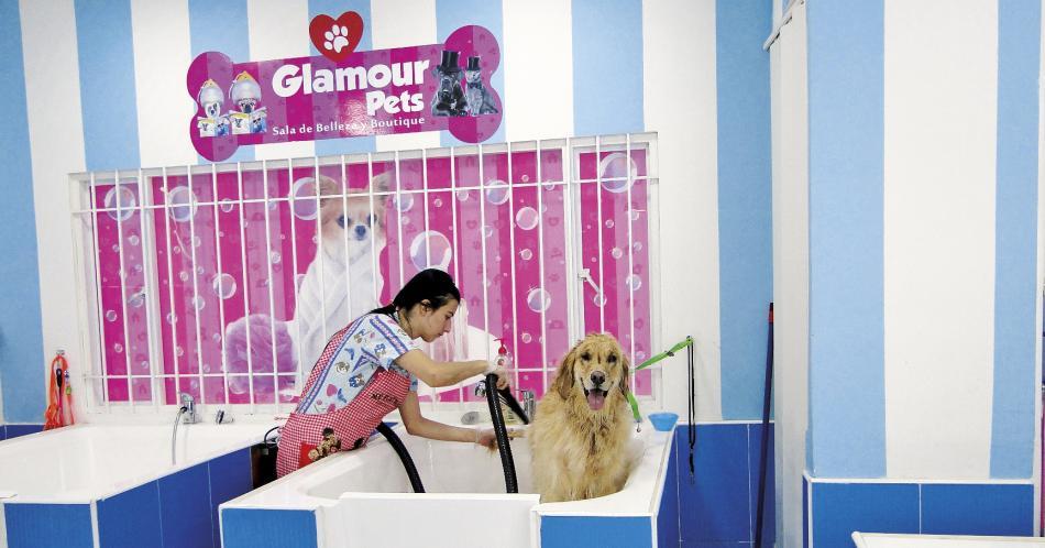 Bark Mall, ¡para humanos y mascotas!
