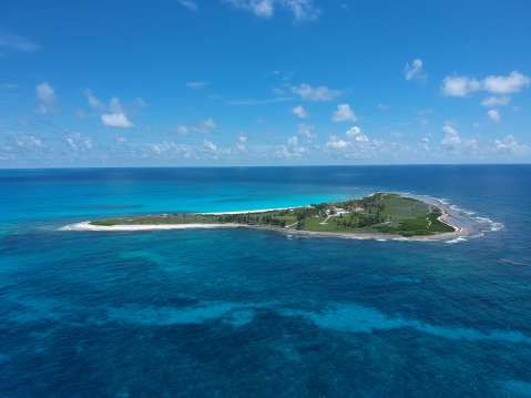 Coralina prende las alarmas tras pesca ilegal de tiburón juvenil en Providencia