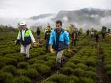 Ambiente, agua y desarrollo sostenible: la apuesta de Cundinamarca a futuro