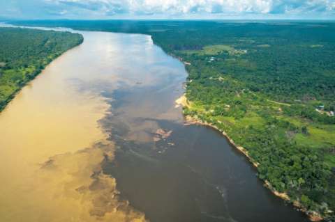 Casi la mitad de los ecosistemas en Colombia están en riesgo