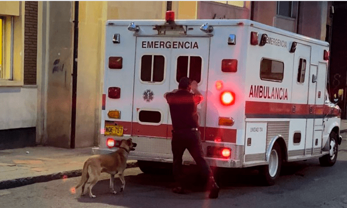 Toño, el perrito que corre detrás de una ambulancia para no dejar a su amo
