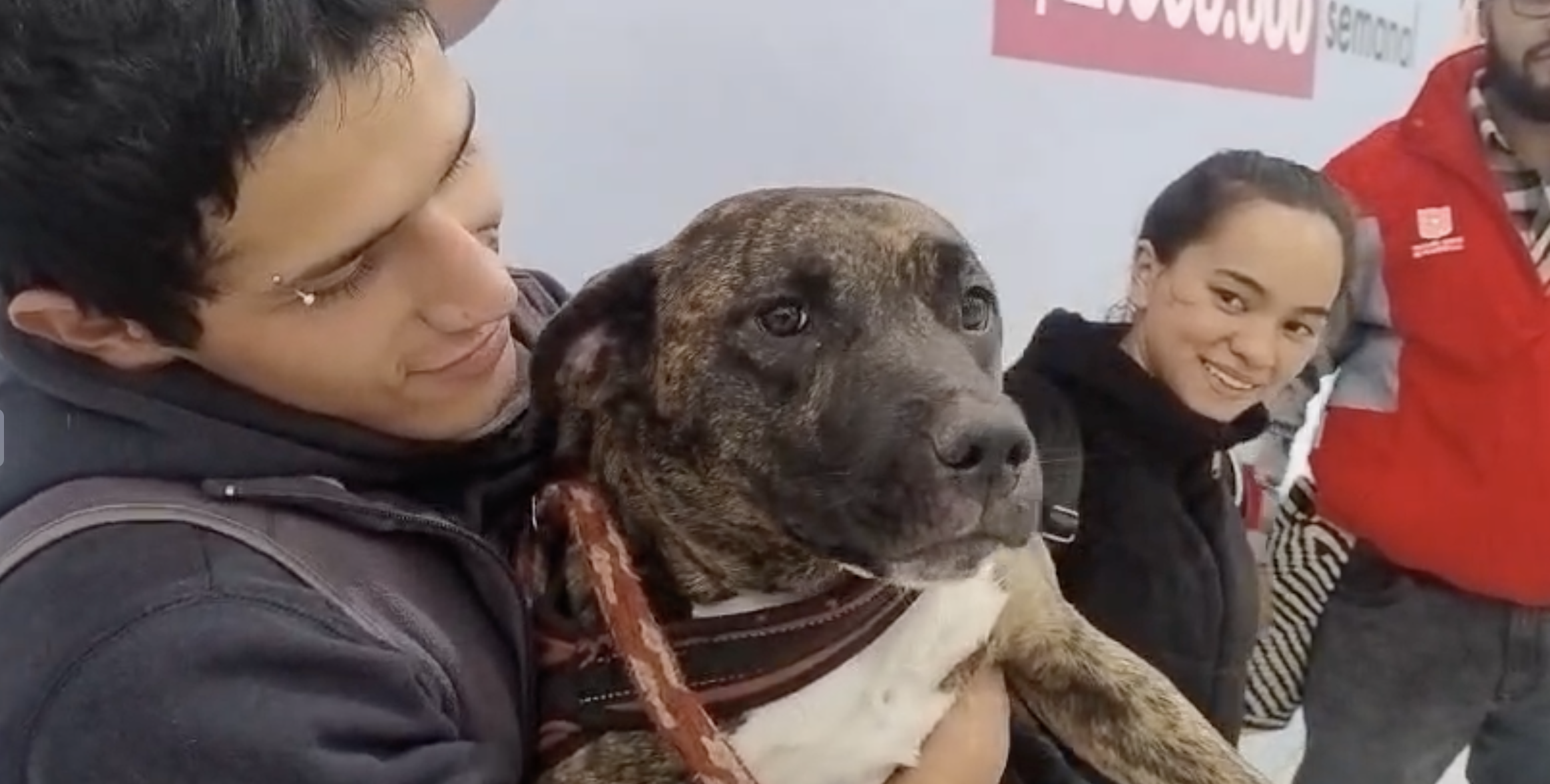 Este es el momento en que la canina y su familia se reencuentran.