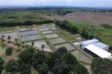Un proyecto para salvar a los peces del Magdalena