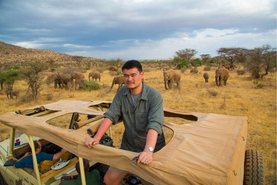 Yao Ming.