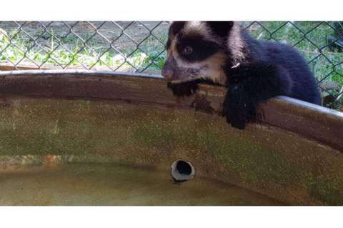 Reabre el Zoológico de Praga que muestra las especies exóticas nacidas en la cuarentena