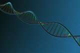 En el 7% de colombianas con cáncer de seno hay genes peligrosos