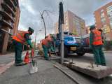 Lluvias en Bogotá: Acueducto explica cómo puede prevenir emergencias en el hogar