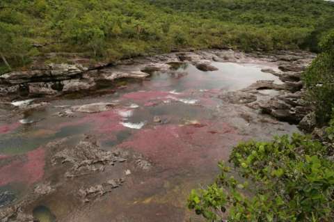 Cerrado el ingreso a Caño Cristales por inicio de  temporada seca