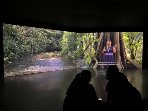 Programación cultural para la semana del 8 al 13 de noviembre