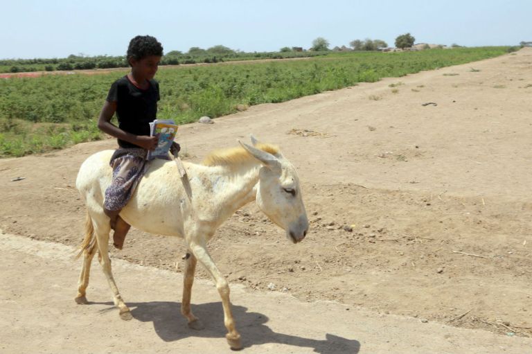 Yemen: cuando estudiar es una catástrofe