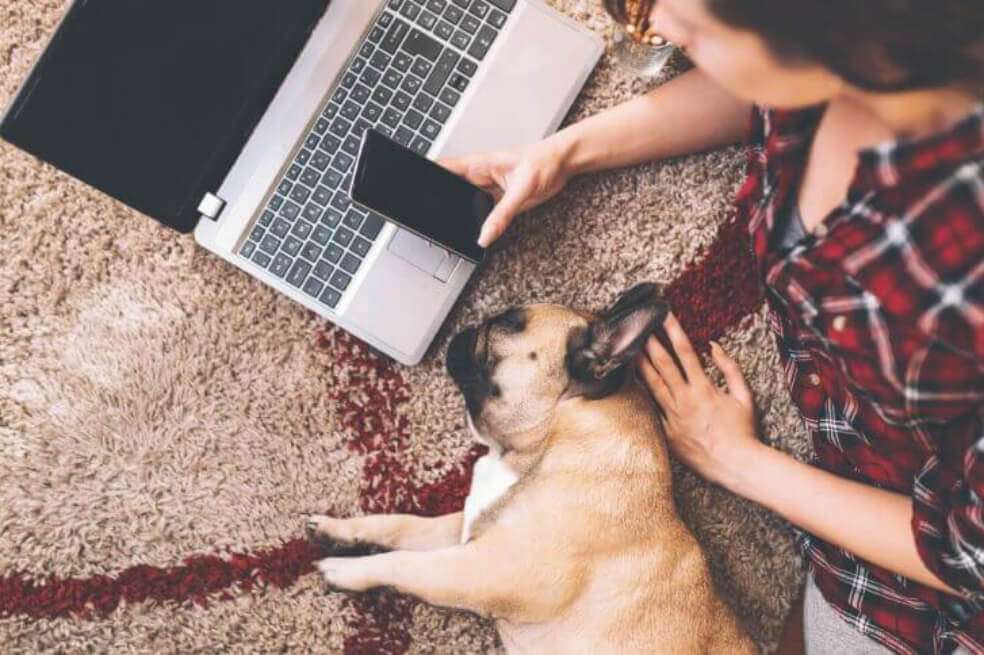 Cerca de 3’500.000 hogares tienen mascotas, según Kantar. / Getty Images