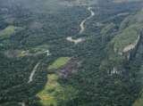 Arden los parques nacionales de la Amazonía