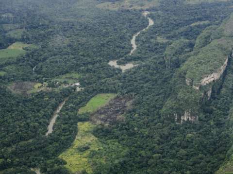 Arden los parques nacionales de la Amazonía