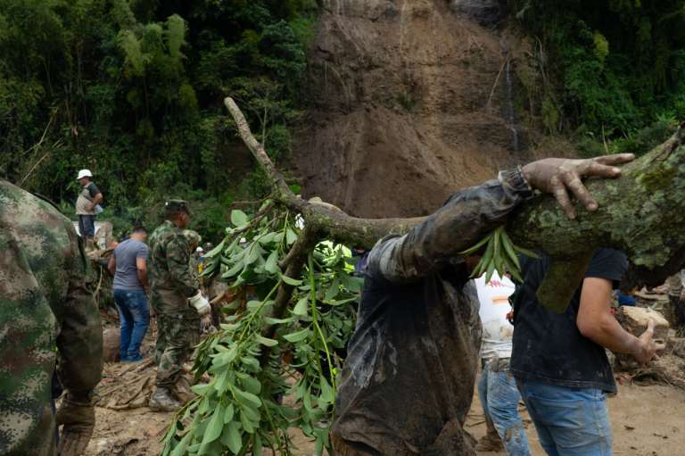 Un hombre carga una rama