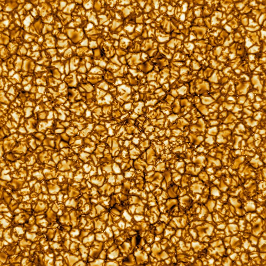Fotos ciencia nature 2020