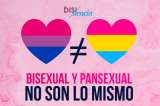 ¿Cuál es la diferencia entre ser bisexual y pansexual?