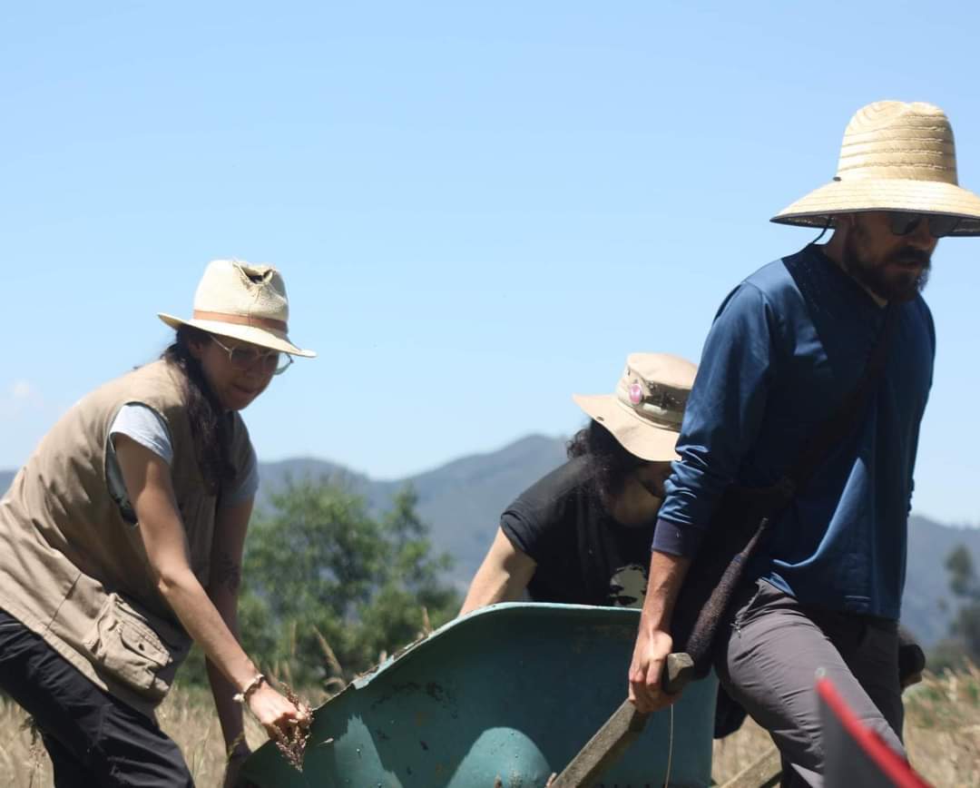Defensores alegan que no se realizaron estudios de alternativas para evaluar si la obra de la Boyacá, como está planteada, es la más viable.