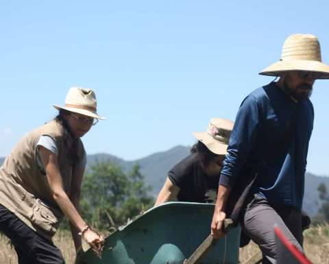 En defensa de la Van der Hammen: ambiente, licencia y tradición muisca en discusión