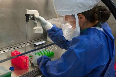 Científicos descubren la debilidad del cáncer de piel más agresivo, el melanoma