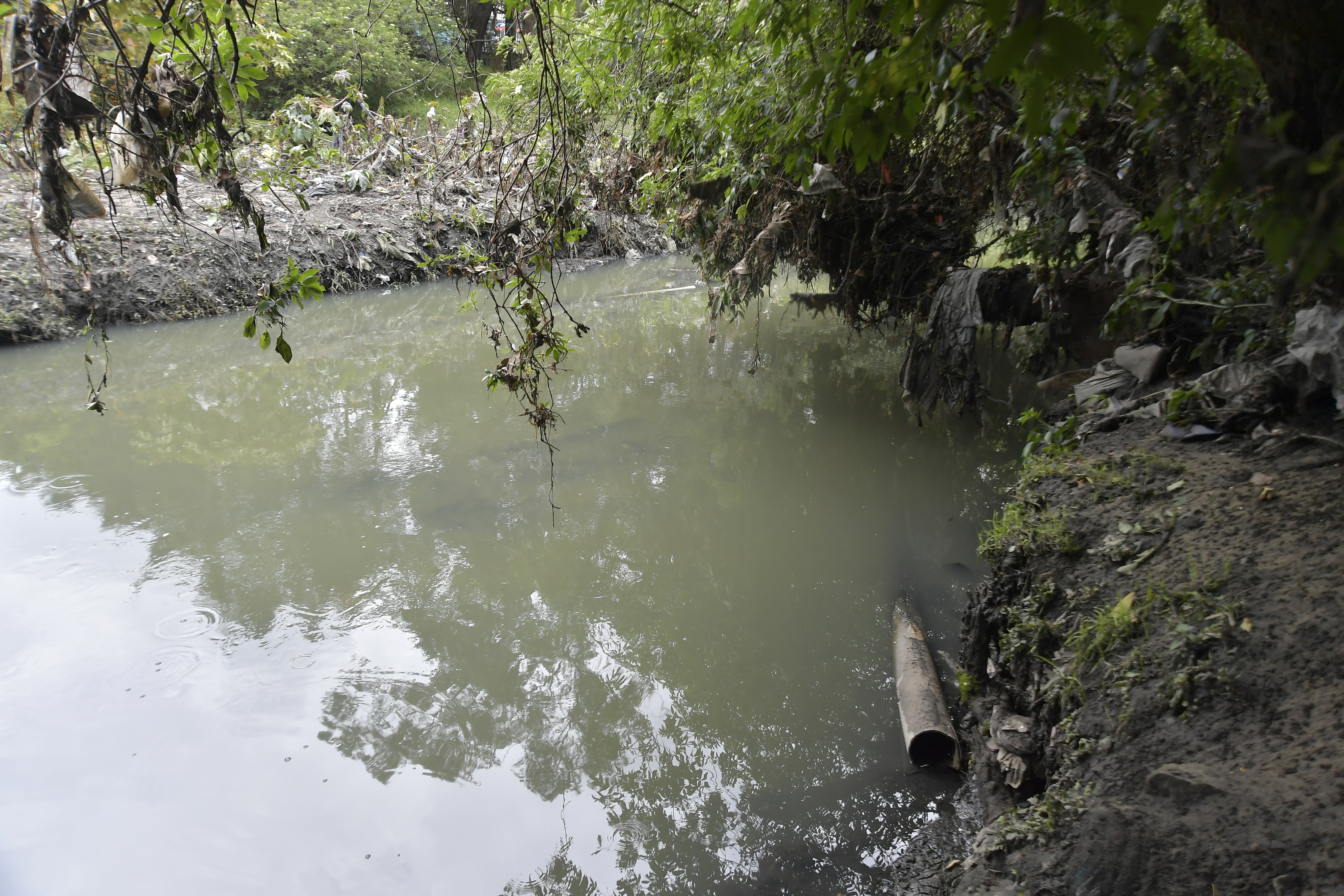 Recorrido por este humedal ubicado en la localidad de Suba.