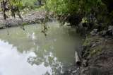Humedal Córdoba: cada vez más contaminado y en riesgo de perder espejos de agua