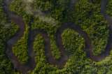 El río que traga niños: crónica de un puente imposible