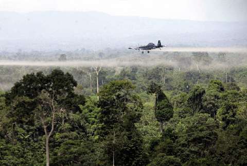 Los proyectos del Banco Agrario que el glifosato fumigó