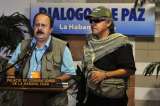 Una paz entre la desmovilización y las reformas