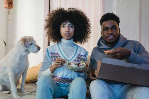 Cinco películas para ver con tu perro o gato en Navidad, ¿cuál es tu favorita?