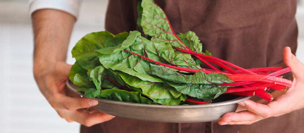 ¿Cómo se prepara la acelga? Te damos 2 ideas de recetas